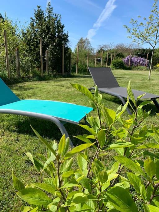 Le Pressoir Macy - Terracobois Guest House Choussy Luaran gambar